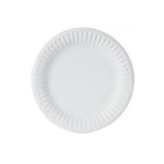 Picture of Foam Picnic Plates (10)