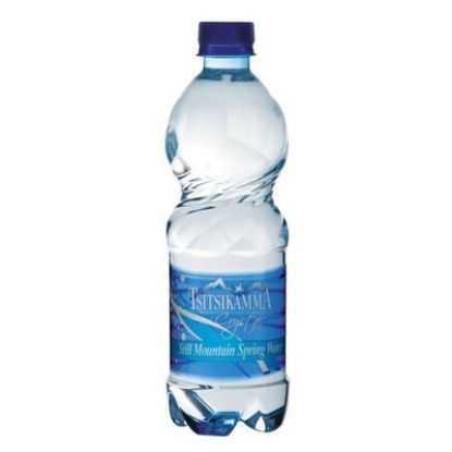 Show details for Mineral Water Tsitsikamma Still 500ml Picture of Mineral Water Tsitsikamma Still 500ml
