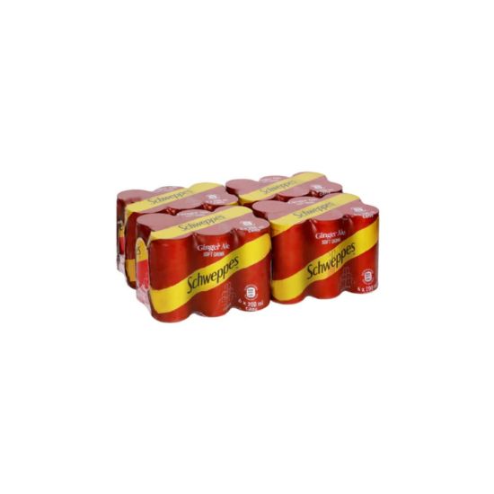 Picture of C/D Ginger Ale 24 x 200ml